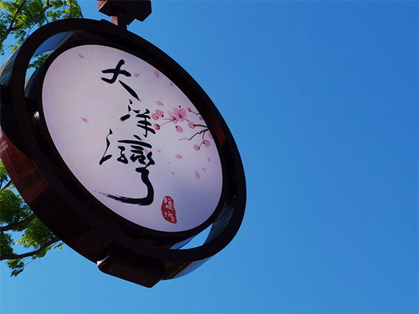 人間最美四月天，不負春光不負卿-大洋灣爛漫之旅